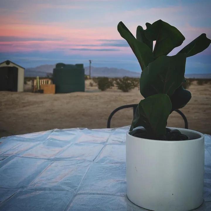 Serene Modern Home Backdoor With Great Wifi, Games, Movies, Patio Seating And Bbq Easy Access To North Joshua Tree National Park In 10 Minutes Туентинайн Палмс Екстериор снимка